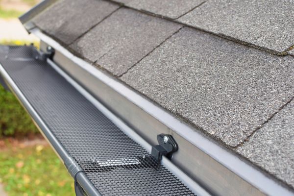 Cost of Covered Gutter Installation in Lutz