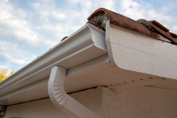 Cost of K Style Gutter Replacement in Lutz